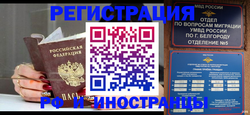 прописка в Ковылкино